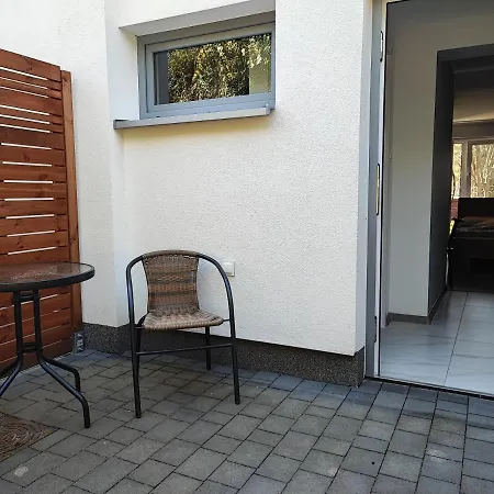 Bella Rossi Проживание в семье