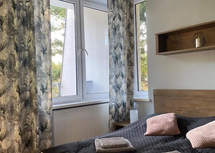 Bella Rossi Проживание в семье *